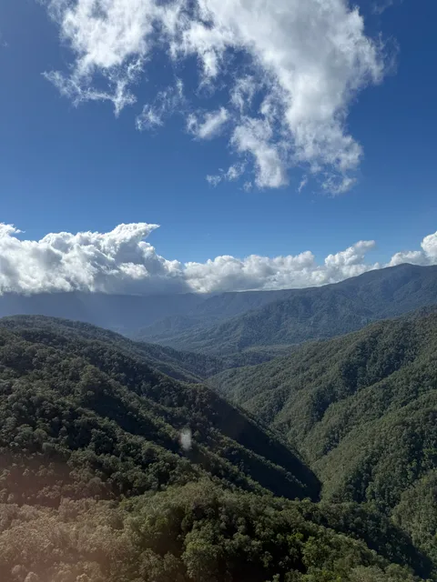 Aerial view of rainforest-clad mountain ranges in the Tablelands.